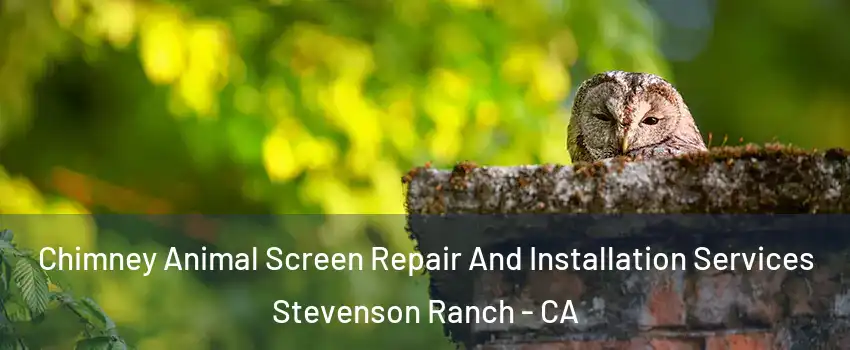  Chimney Animal Screen Repair And Installation Services Stevenson Ranch - CA