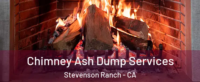  Chimney Ash Dump Services Stevenson Ranch - CA