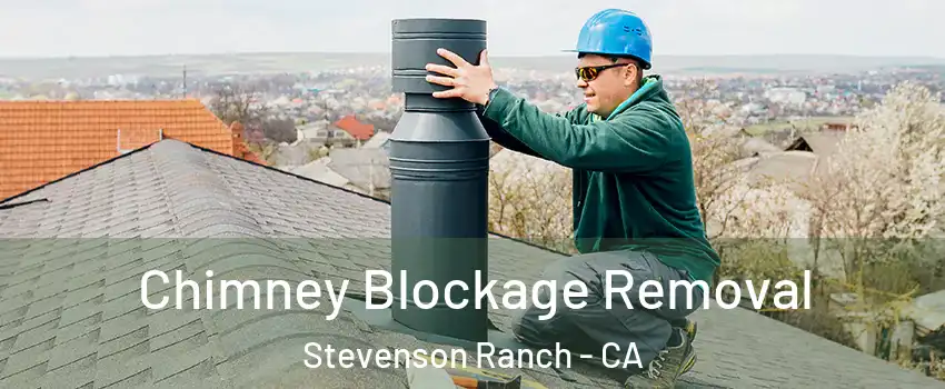  Chimney Blockage Removal Stevenson Ranch - CA