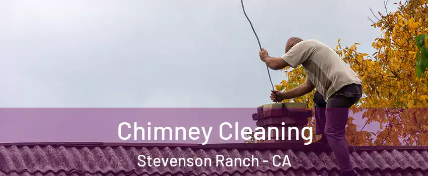  Chimney Cleaning Stevenson Ranch - CA