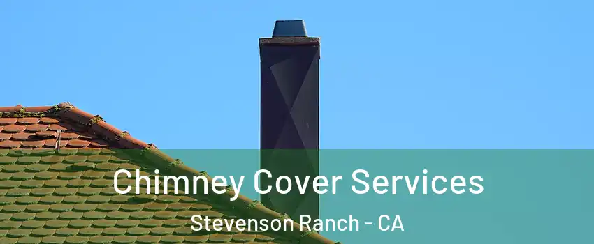  Chimney Cover Services Stevenson Ranch - CA