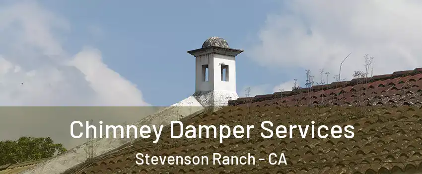  Chimney Damper Services Stevenson Ranch - CA