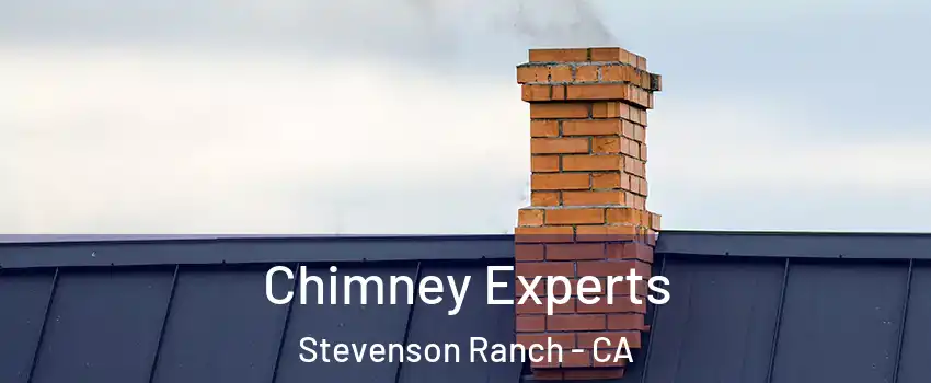  Chimney Experts Stevenson Ranch - CA