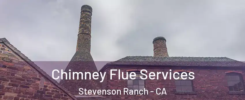  Chimney Flue Services Stevenson Ranch - CA