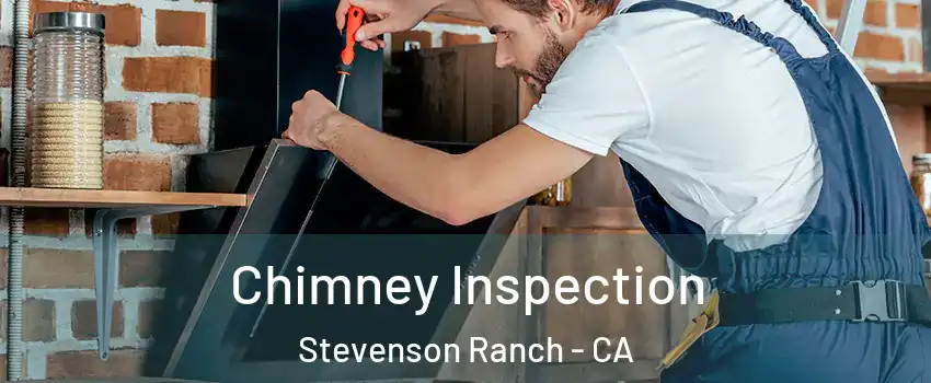  Chimney Inspection Stevenson Ranch - CA