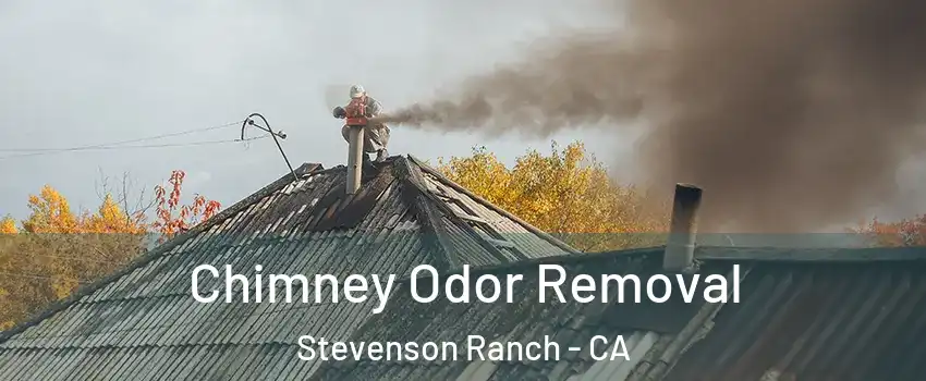  Chimney Odor Removal Stevenson Ranch - CA