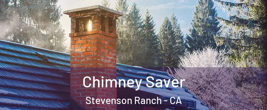  Chimney Saver Stevenson Ranch - CA