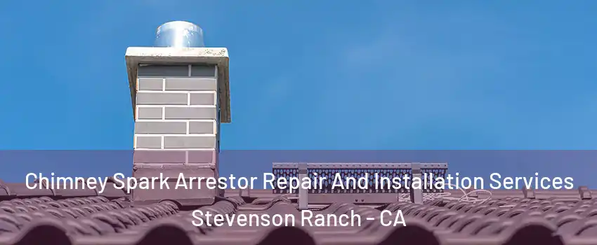  Chimney Spark Arrestor Repair And Installation Services Stevenson Ranch - CA