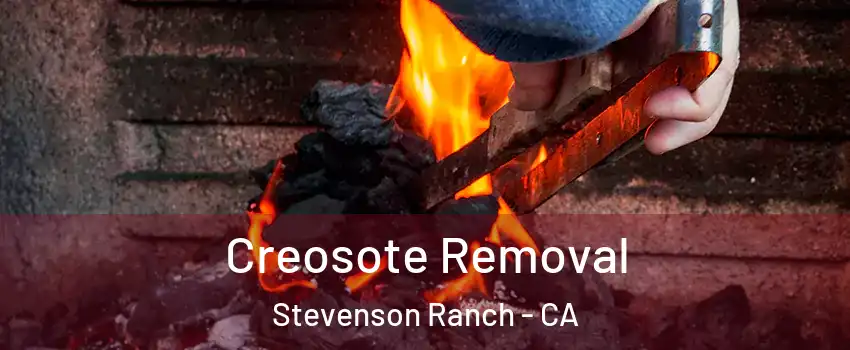  Creosote Removal Stevenson Ranch - CA