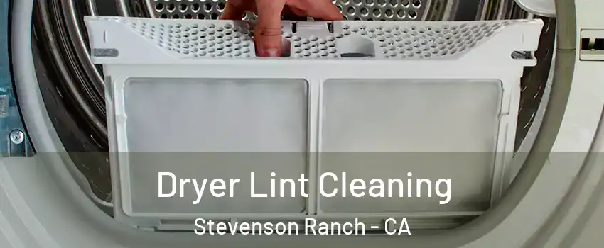  Dryer Lint Cleaning Stevenson Ranch - CA