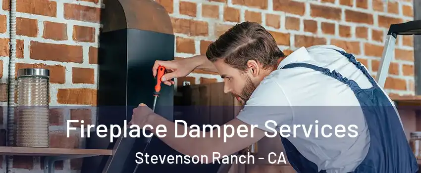  Fireplace Damper Services Stevenson Ranch - CA