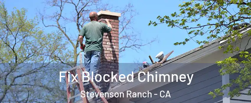  Fix Blocked Chimney Stevenson Ranch - CA