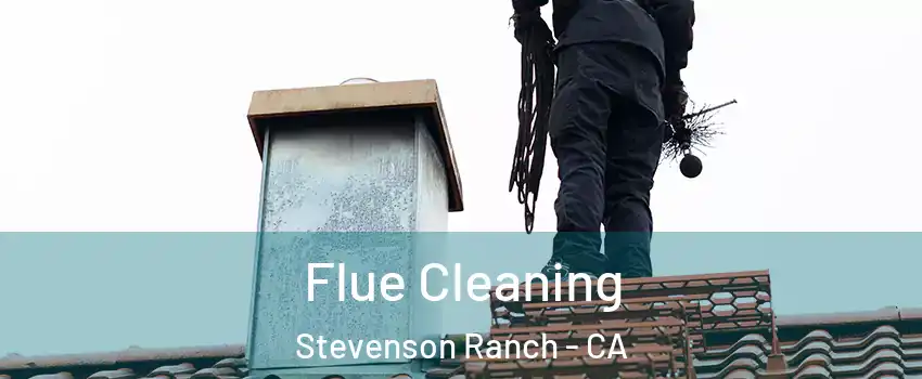  Flue Cleaning Stevenson Ranch - CA