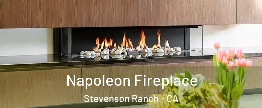  Napoleon Fireplace Stevenson Ranch - CA